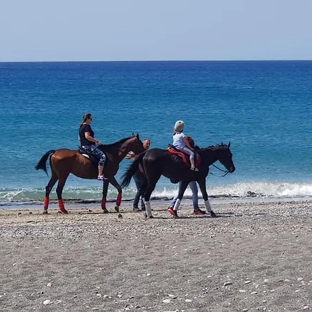 Daniela & * Koutsounari